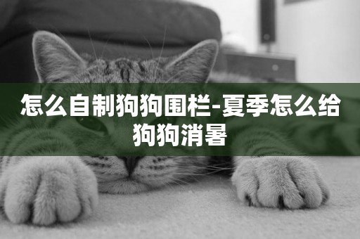 怎么自制狗狗圍欄-夏季怎么給狗狗消暑