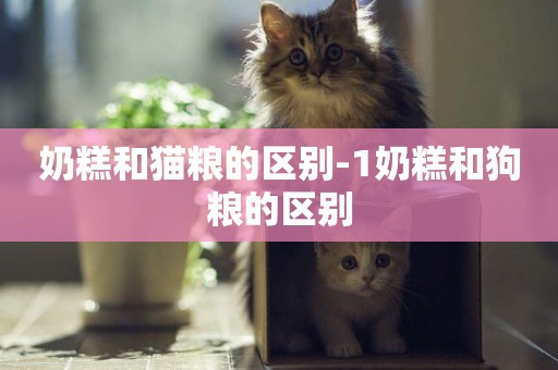 奶糕和貓糧的區別-1奶糕和狗糧的區別