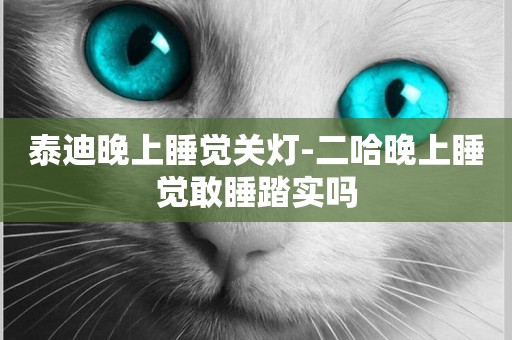 泰迪晚上睡覺關燈-二哈晚上睡覺敢睡踏實嗎