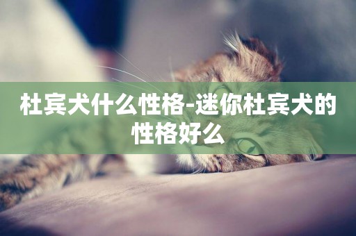 杜賓犬什么性格-迷你杜賓犬的性格好么
