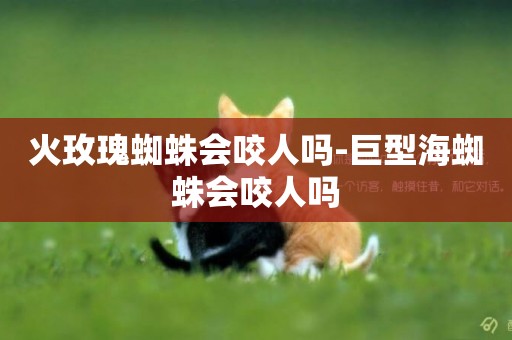 火玫瑰蜘蛛會咬人嗎-巨型海蜘蛛會咬人嗎