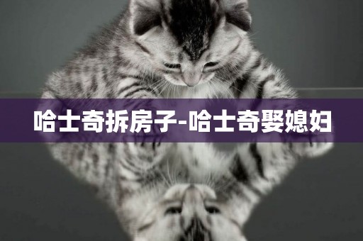 哈士奇拆房子-哈士奇娶媳婦