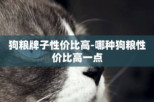 狗糧牌子性價比高-哪種狗糧性價比高一點