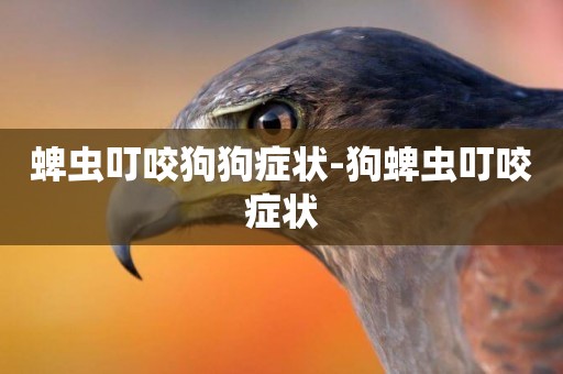 蜱蟲叮咬狗狗癥狀-狗蜱蟲叮咬癥狀