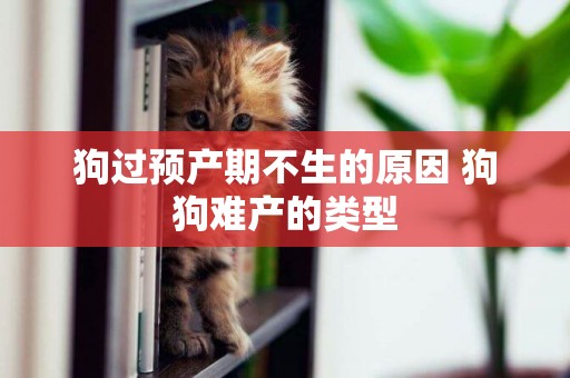 狗過預產期不生的原因 狗狗難產的類型