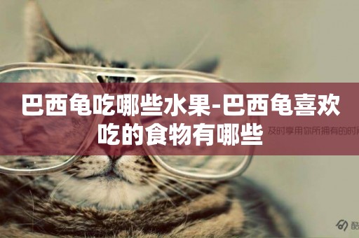 巴西龜吃哪些水果-巴西龜喜歡吃的食物有哪些