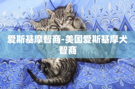 愛斯基摩智商-美國愛斯基摩犬智商