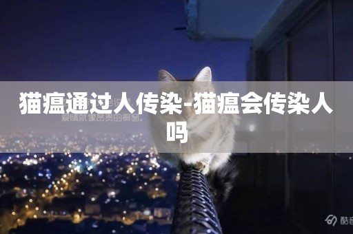 貓瘟通過人傳染-貓瘟會傳染人嗎