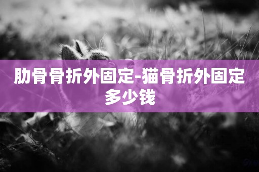 肋骨骨折外固定-貓骨折外固定多少錢
