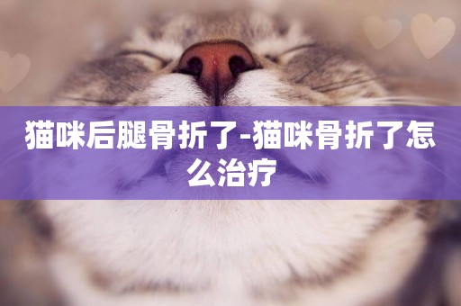 貓咪后腿骨折了-貓咪骨折了怎么治療