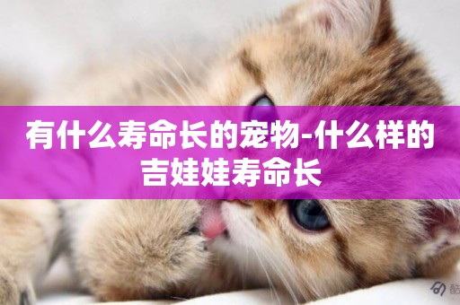 有什么壽命長的寵物-什么樣的吉娃娃壽命長