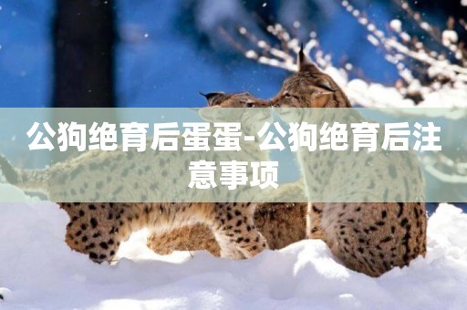 公狗絕育后蛋蛋-公狗絕育后注意事項