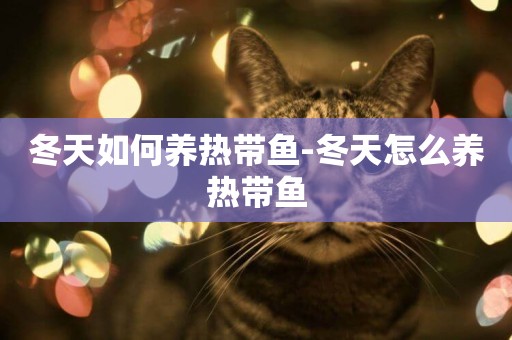 冬天如何養熱帶魚-冬天怎么養熱帶魚