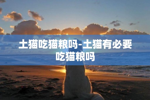 土貓吃貓糧嗎-土貓有必要吃貓糧嗎