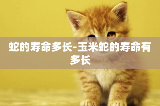 蛇的壽命多長-玉米蛇的壽命有多長