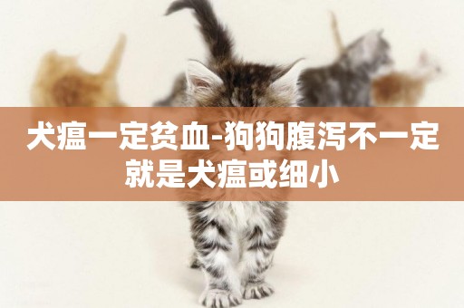 犬瘟一定貧血-狗狗腹瀉不一定就是犬瘟或細小