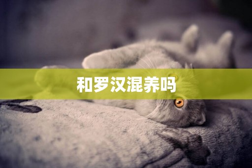 和羅漢混養嗎