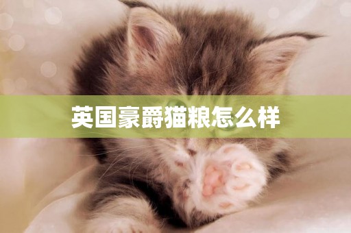英國豪爵貓糧怎么樣