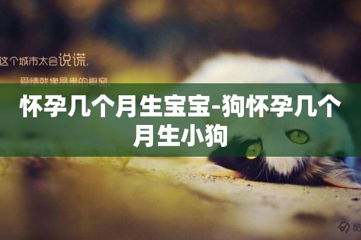 懷孕幾個月生寶寶-狗懷孕幾個月生小狗