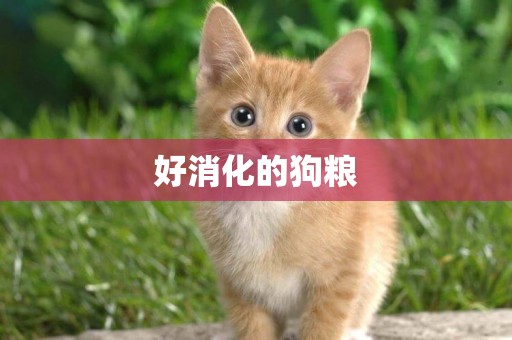 好消化的狗糧