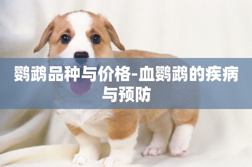 鸚鵡品種與價格-血鸚鵡的疾病與預防