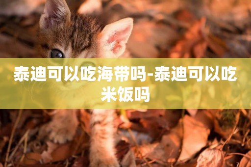 泰迪可以吃海帶嗎-泰迪可以吃米飯嗎