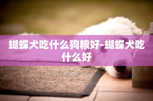 蝴蝶犬吃什么狗糧好-蝴蝶犬吃什么好