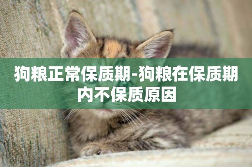 狗糧正常保質期-狗糧在保質期內不保質原因