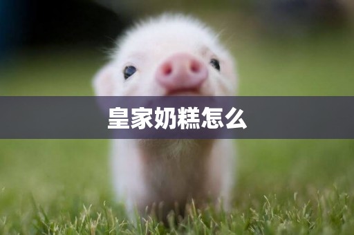 皇家奶糕怎么