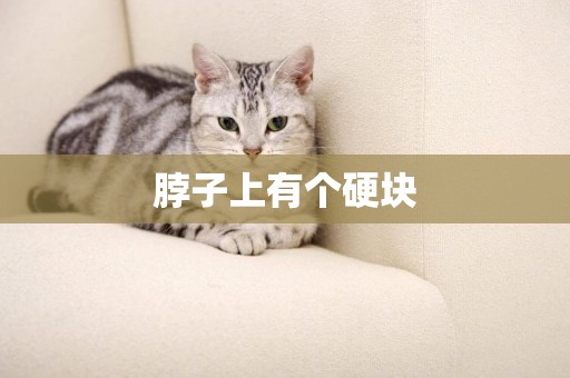 脖子上有個硬塊