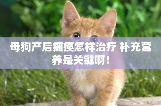 母狗產后癱瘓怎樣治療 補充營養是關鍵啊！