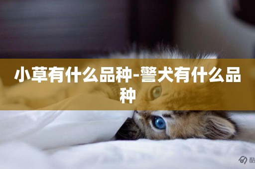 小草有什么品種-警犬有什么品種