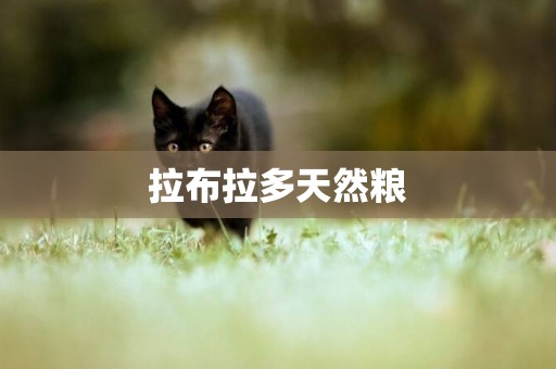拉布拉多天然糧