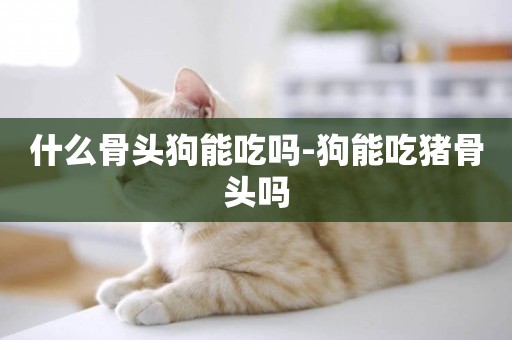 什么骨頭狗能吃嗎-狗能吃豬骨頭嗎
