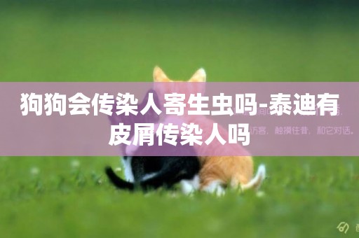 狗狗會傳染人寄生蟲嗎-泰迪有皮屑傳染人嗎