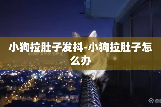 小狗拉肚子發抖-小狗拉肚子怎么辦