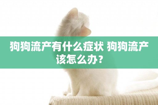 狗狗流產有什么癥狀 狗狗流產該怎么辦？