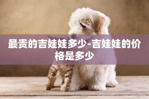 最貴的吉娃娃多少-吉娃娃的價格是多少