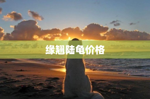 緣翹陸龜價格