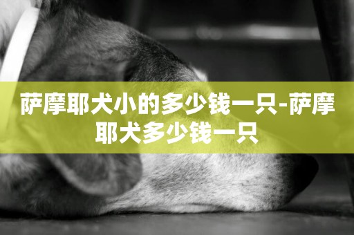 薩摩耶犬小的多少錢一只-薩摩耶犬多少錢一只