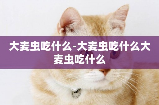 大麥蟲吃什么-大麥蟲吃什么大麥蟲吃什么