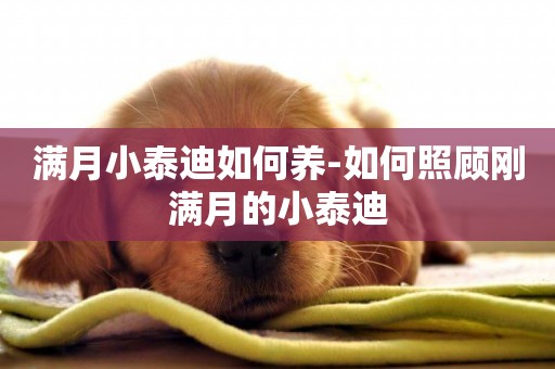 滿月小泰迪如何養-如何照顧剛滿月的小泰迪