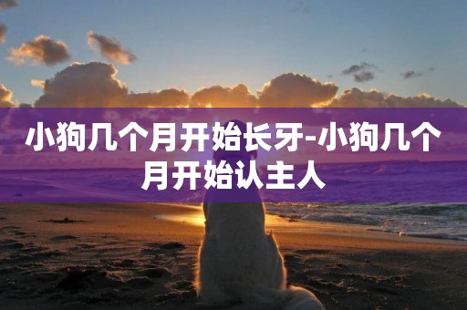 小狗幾個月開始長牙-小狗幾個月開始認主人