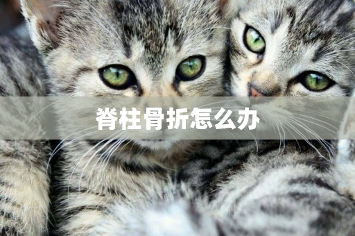 脊柱骨折怎么辦