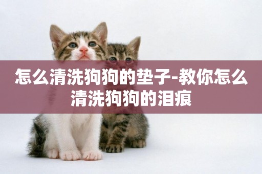 怎么清洗狗狗的墊子-教你怎么清洗狗狗的淚痕