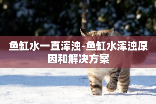 魚缸水一直渾濁-魚缸水渾濁原因和解決方案