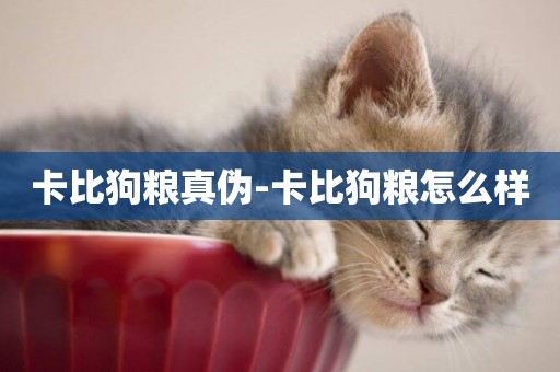 卡比狗糧真偽-卡比狗糧怎么樣