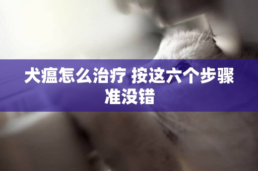 犬瘟怎么治療 按這六個步驟準沒錯