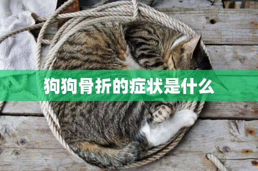 狗狗骨折的癥狀是什么