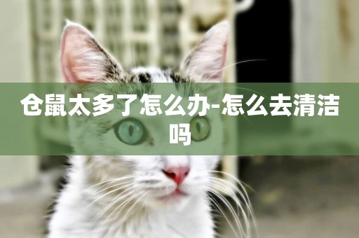 倉鼠太多了怎么辦-怎么去清潔嗎